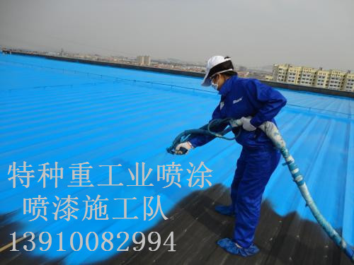 黎母山镇包括彩钢瓦喷漆翻新(